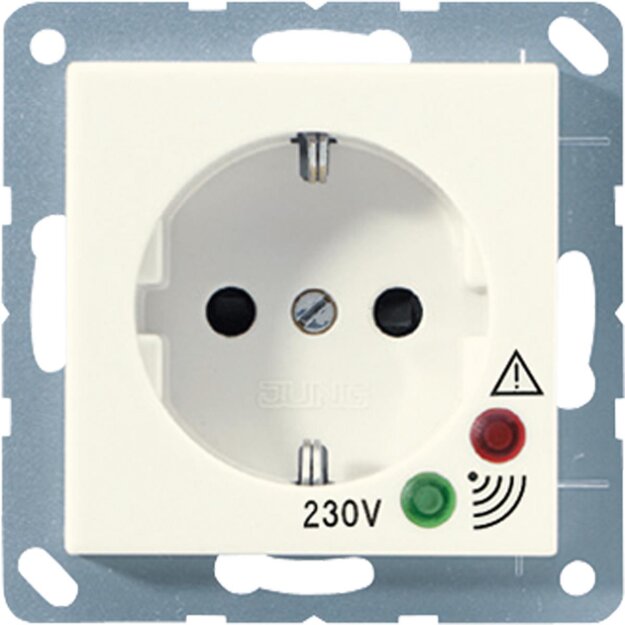 Exklusives Angebot: Jung A521UF SCHUKO-Steckdose mit Überspannungsschutz Serie A/AS Duroplast Weiß - nur für kurze Zeit!