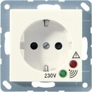 Exklusives Angebot: Jung A521UF SCHUKO-Steckdose mit...