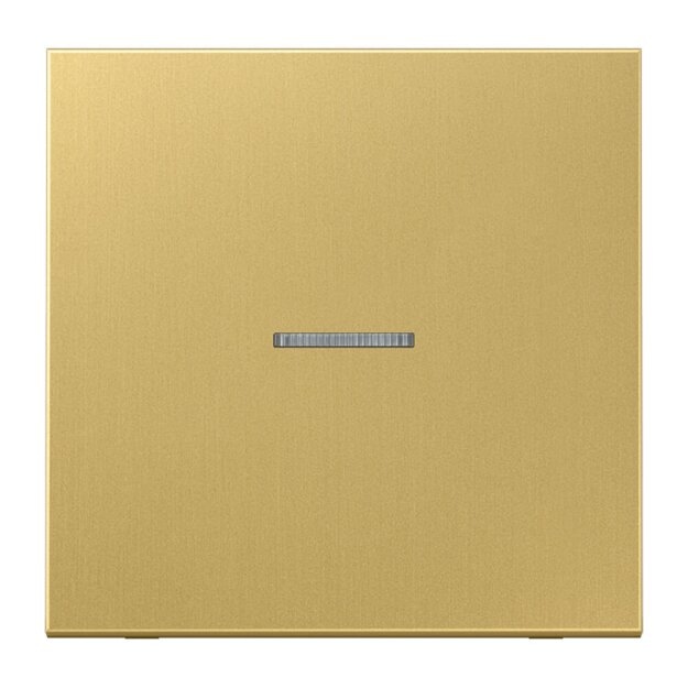 Exklusives Angebot: Jung ME101KO5C Wippe für Taster Lichtleiter (Messing Classic) Serie LS - nur für kurze Zeit!