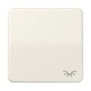 Exklusives Angebot: Jung CD590BFL Wippe m. Symbol...