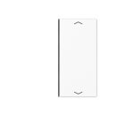 Exklusives Angebot: Jung A402TSAPWW Taste 2fach, Pfeil...