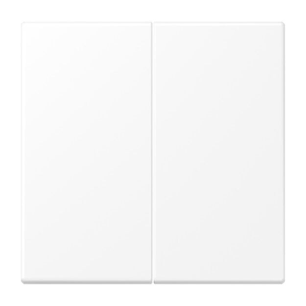 Exklusives Angebot: Jung LS1702WWM Steuertaste 2-fach Standard (Duroplast) Schneeweiß Matt Serie LS - nur für kurze Zeit!