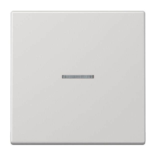 Exklusives Angebot: Jung BTLS17101LG JUNG HOME Taster 1-fach Lightgrau - nur für kurze Zeit!