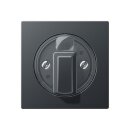 Exklusives Angebot: Jung A1541BFANM Abdeckung für...