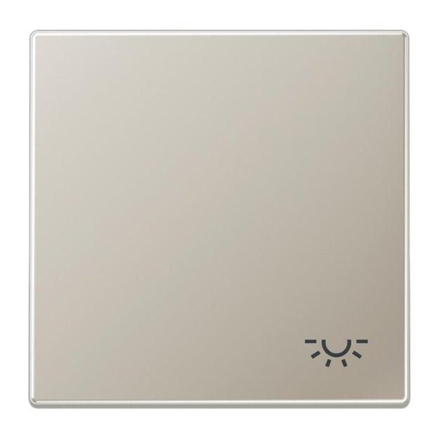 Exklusives Angebot: Jung ES2990L Wippe m. Symbol "Licht" Edelstahl  - nur für kurze Zeit!