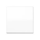 Exklusives Angebot: Jung AS591BFSWW Wippe f. Schalter m....