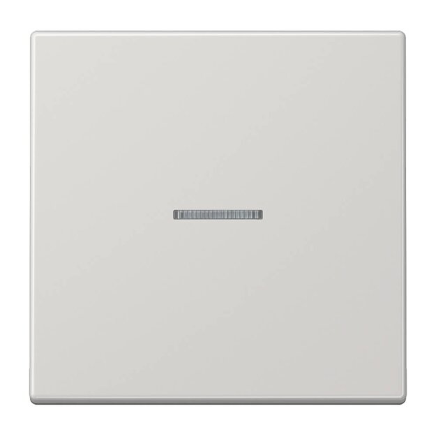 Exklusives Angebot: Jung LS101KO5LG Wippe für Taster Lichtleiter (Duroplast) Lichtgrau Serie LS - nur für kurze Zeit!