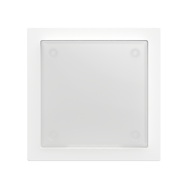Busch-Jaeger 1573 CN-44G-102 Zentralscheibe mit Lichtfenster und Beschriftungsfeld Busch-art linear® 2TKA00006529