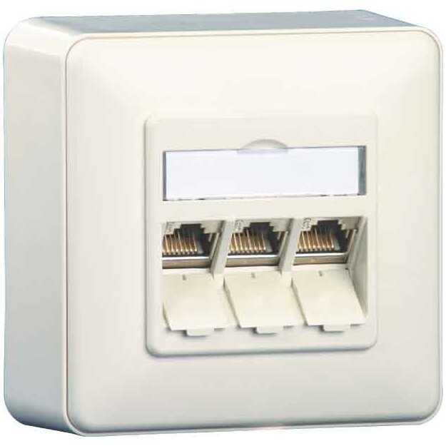 BTR NETCOM Anschlussdose E-DAT AP 1309130002-E rws