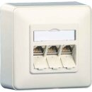 BTR NETCOM Anschlussdose E-DAT AP 1309130002-E rws