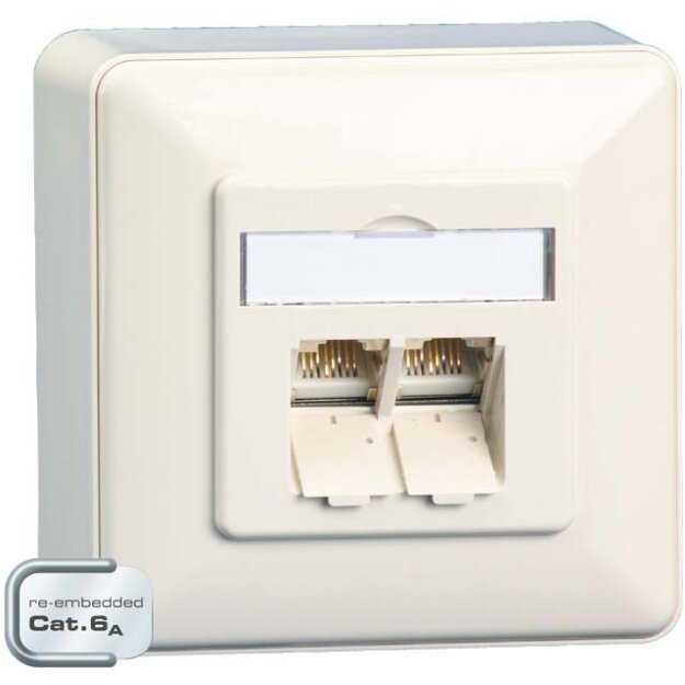 BTR NETCOM Anschlussdose C6A AP E-DAT C6A 2 AP rws