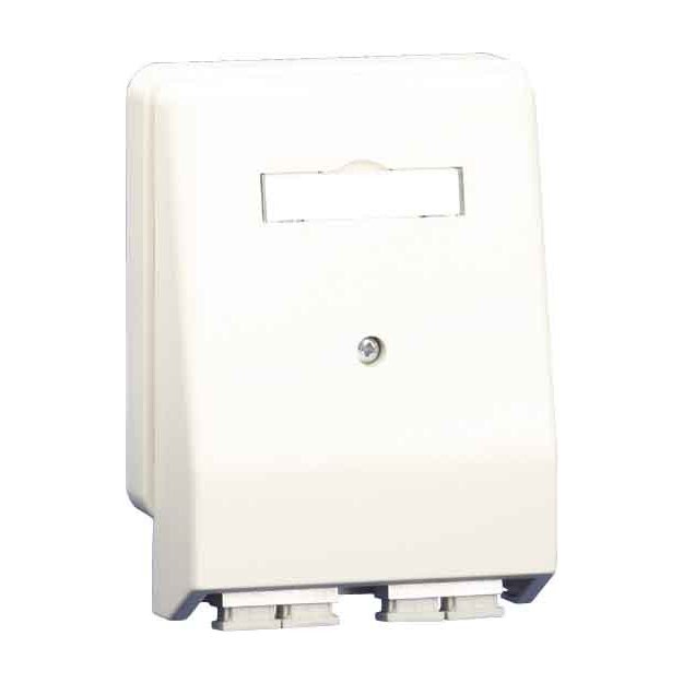 BTR NETCOM Anschlußdose 150112 C202-E rws