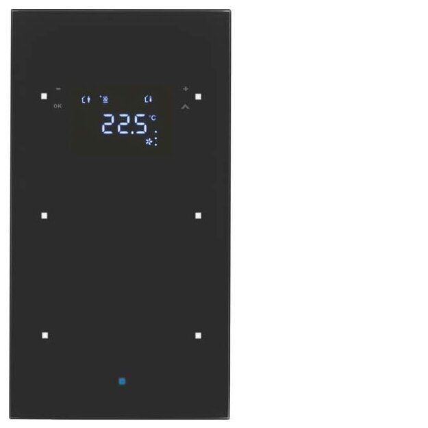 Berker 75642035 Glas-Sensor 2-fach mit Temperaturregler TS Sensor Schwarz