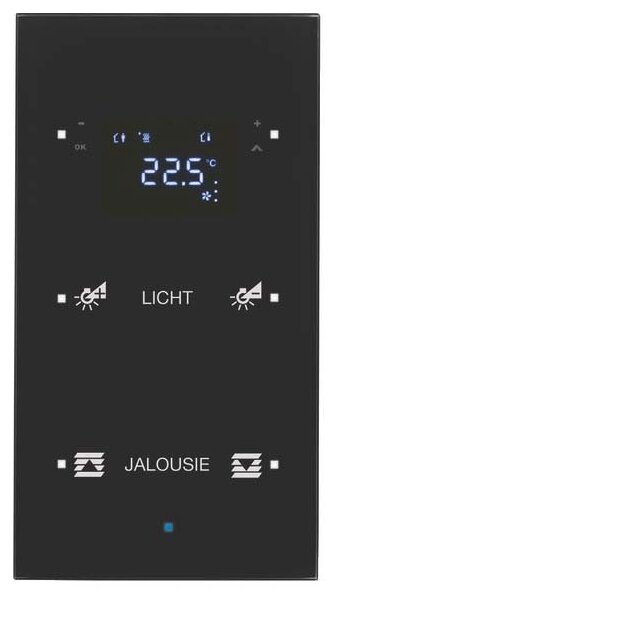Berker 75642135 Glas-Sensor 2-fach mit Temperaturregler TS Sensor konfiguriert Schwarz
