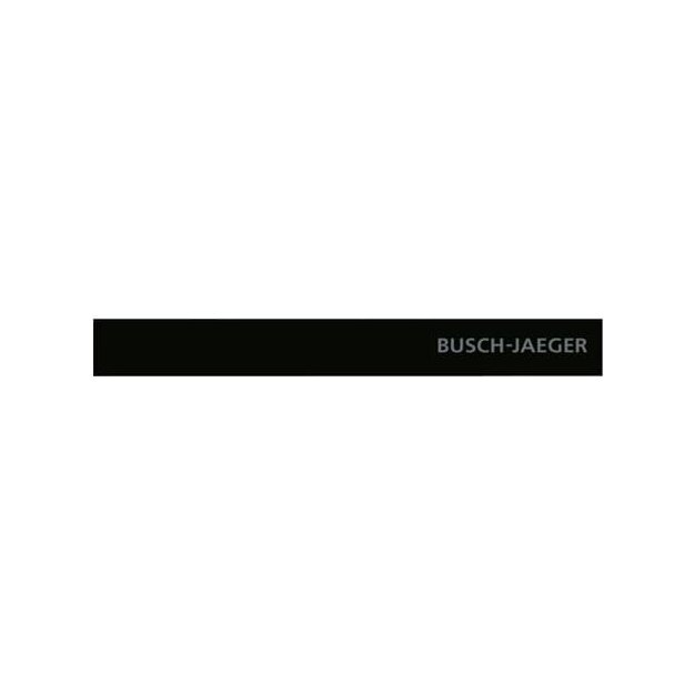 Busch-Jaeger 6349-825-101 Standardabschlussleiste unten mit Schriftzug Busch-priOn® (Glas) Glas Schwarz 2CKA006310A0150