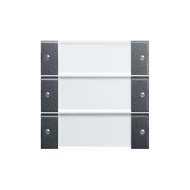Gira 213328 Wippenset 3-fach Beschriftungsfeld System 55 Klar/Anthrazit