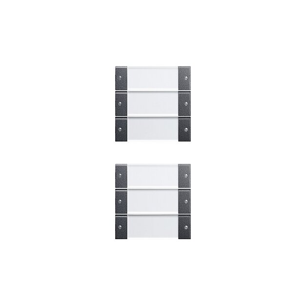 Gira 213628 Wippenset 6-fach (3+3) Beschriftungsfeld System 55 Klar/Anthrazit