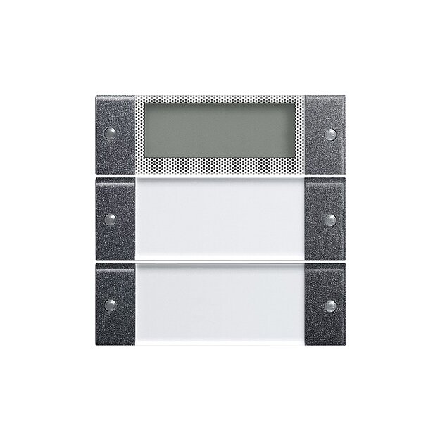 Gira 214228 Wippenset 2-fach Plus Beschriftungsfeld System 55 Klar/Anthrazit