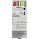 Gira 216800 IP-Schnittstaster KNX REG