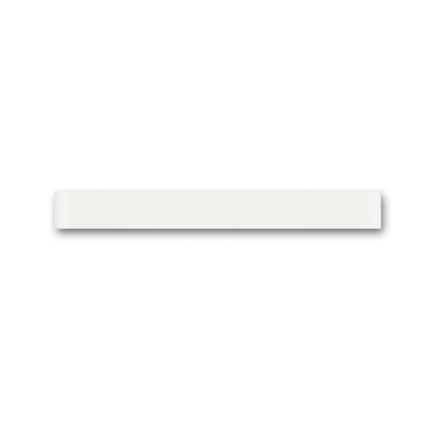 Busch-Jaeger 6348-811-101 Standardabschlussleiste oben Busch-priOn® Glas Weiß 2CKA006310A0177