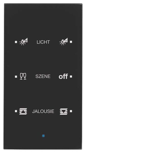 Berker 75143935 Glas-Sensor 3-fach Komfort TS Sensor konfiguriert Schwarz
