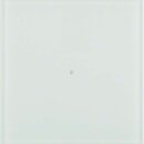 Berker 75161090 Tastsensor 1-fach B.IQ Glas Polarweiß