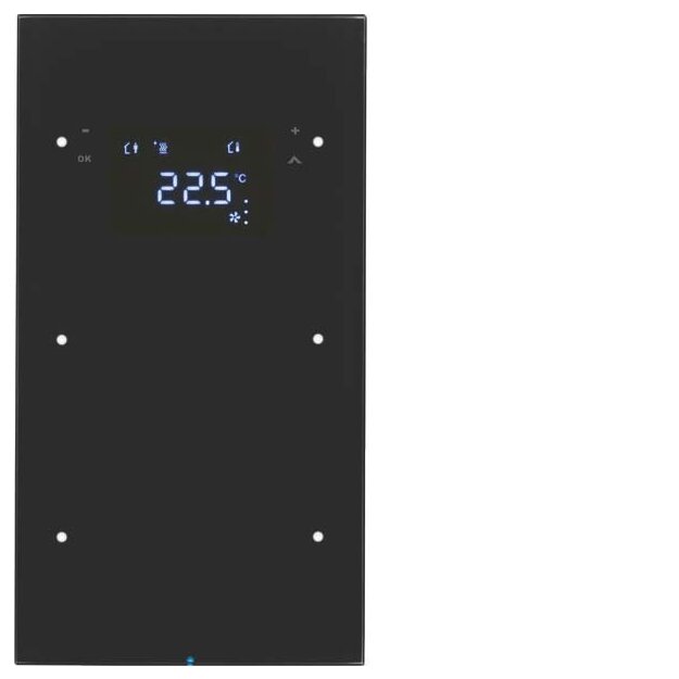 Berker 75642055 Touchsensor 2-fach mit Temperaturregler R.3 Glas Schwarz