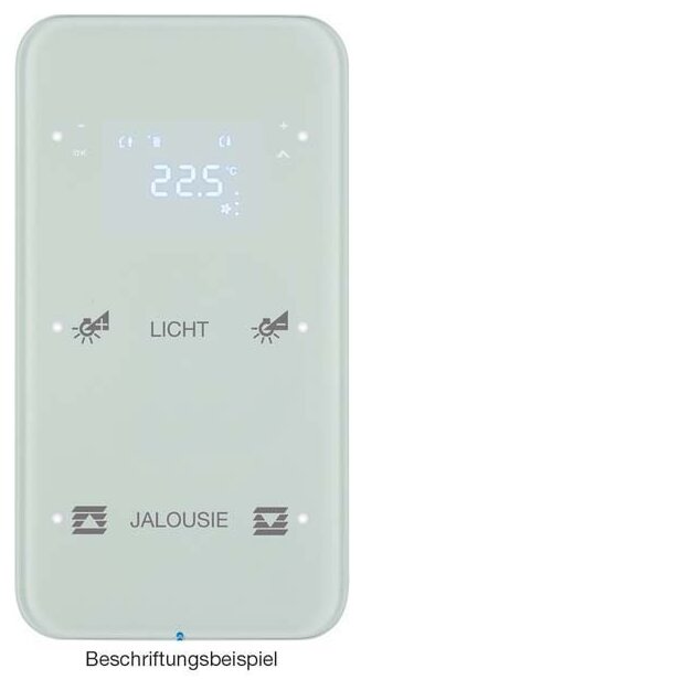 Berker 75642160 Touchsensor 2-fach mit Temperaturregler R.1 Glas konfiguriert Polarweiß