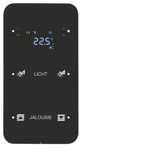 Berker 75642165 Touchsensor 2-fach mit Temperaturregler R.1 Glas konfiguriert Schwarz