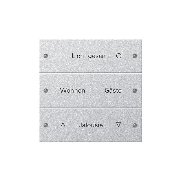 Gira 220326 Wippenset 3-fach beschreibbar System 55 Farbe Alu(lackiert)