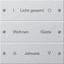 Gira 220326 Wippenset 3-fach beschreibbar System 55 Farbe...