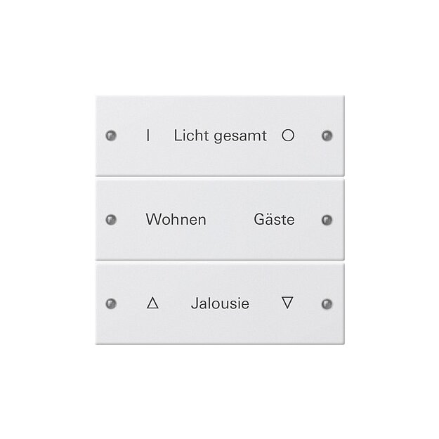 Gira 220327 Wippenset 3-fach beschreibbar System 55 Reinweiß matt(lackiert)