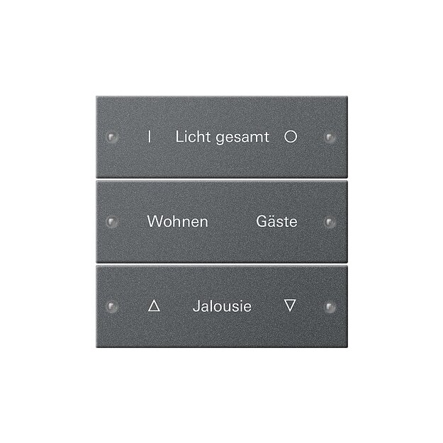 Gira 220328 Wippenset 3-fach beschreibbar System 55 Anthrazit(lackiert)