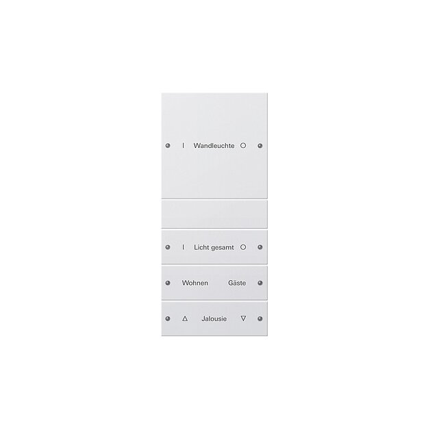 Gira 220403 Wippenset 4-fach (1+3) beschreibbar System 55 Reinweiß(lackiert)