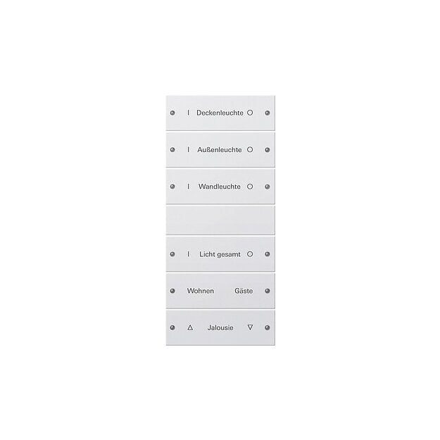 Gira 220603 Wippenset 6-fach (3+3) beschreibbar System 55 Reinweiß(lackiert)