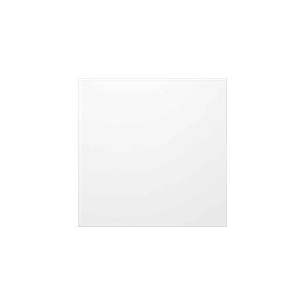 Ritto 1876620 Portier Blindmodul silber