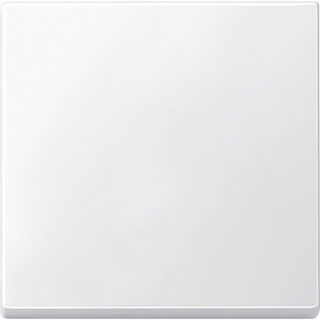 Merten 433119 Wippe Polarweiß System M