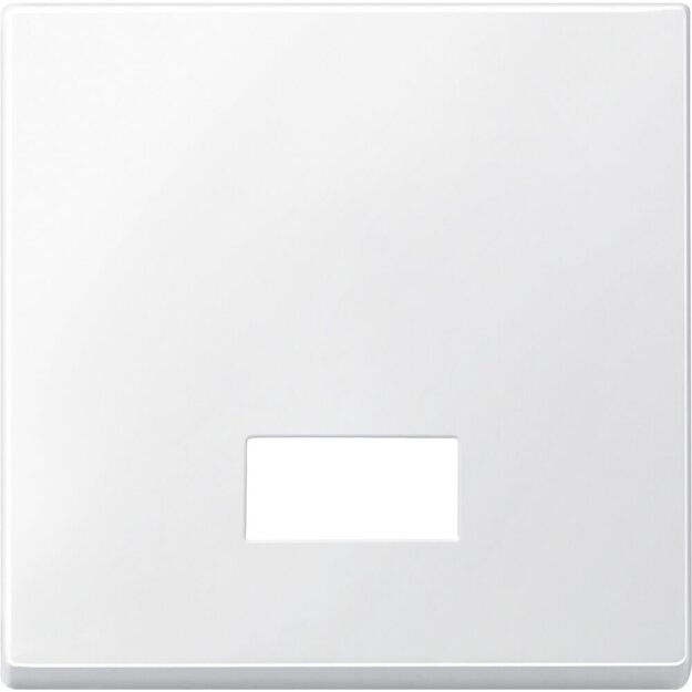 Merten 433819 Wippe mit rechteckigem Symbolfenster Polarweiß System M