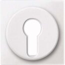 Merten 318119 Zentralplatte für...