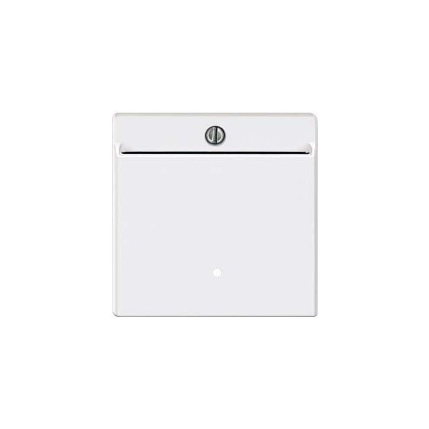 Merten 315419 Card-Schalter Polarweiß System M