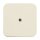 Busch-Jaeger 2536-212 Zentralscheibe (Thermoplast) Weiß Busch-Duro 2000® SI 2CKA001724A0244