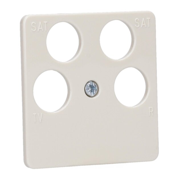 Busch-Jaeger 1743/10-04-212 Zentralscheibe 50 x 50 mm (Thermoplast) Weiß Busch-Duro 2000® SI 2CKA001753A8634