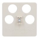 Busch-Jaeger 1743/10-04-212 Zentralscheibe 50 x 50 mm (Thermoplast) Weiß Busch-Duro 2000® SI 2CKA001753A8634