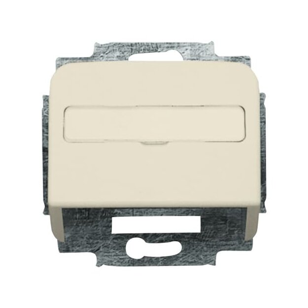 Busch-Jaeger 1758-212 Zentralscheibe mit Tragring (Thermoplast) Weiß Busch-Duro 2000® SI 2CKA001724A1002