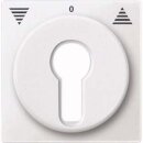 Merten 319319 Zentralplatte für...