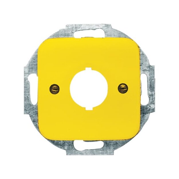 Busch-Jaeger 2533-214-15 Zentralscheibe mit Tragring (Thermoplast) Gelb Reflex SI 2CKA001724A2696