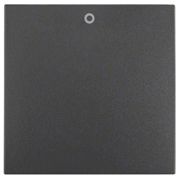 Berker 16221606 Wippe mit Aufdruck 0 S.1/B.3/B.7 Anthrazit matt