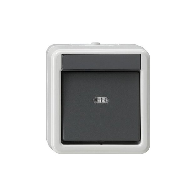 Gira 010230 Wippschalter Aus 2-polig WG AP Grau