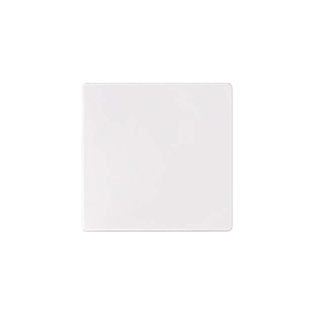 Merten 573819 Sensorfläche Polarweiß AQUADESIGN