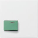 Gira 024603 Abdeckung Ackermann 73642 C System 55...